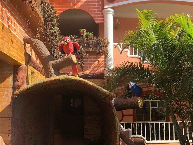 Hotel Residencia Del Sol Guatemala City Bagian luar foto